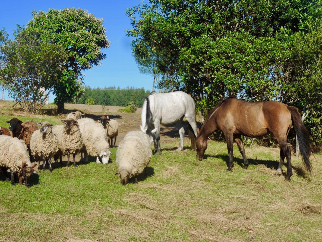 Pousada Aguaraguazu Tibagi Exteriér fotografie
